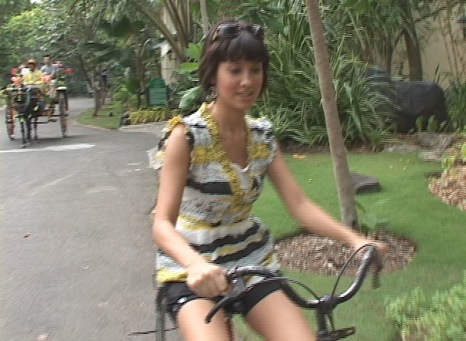 BTS_plantation2